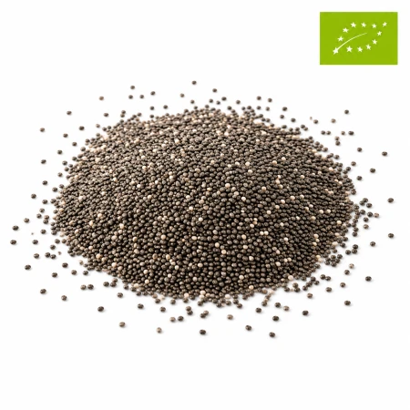 ChatGPT Image 17 cze 2026, 13_31_13.png