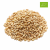 ChatGPT Image 24 cze 2026, 20_53_03.png