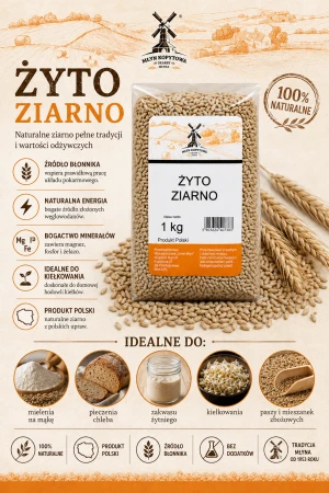 ziarno zyta infografika.png
