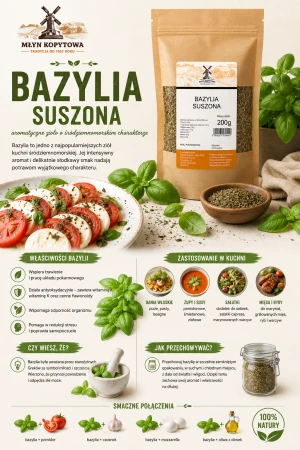 bazylia infografika.png