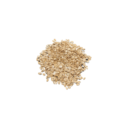 BIO Płatki orkiszowe EKOLOGICZNE