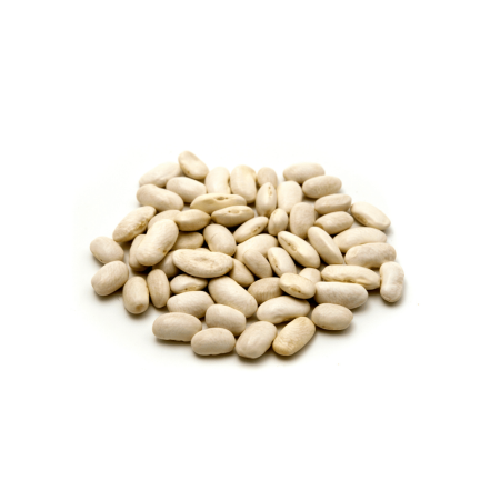 Projekt bez nazwy (93).png